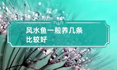 风水鱼一般养几条比较好