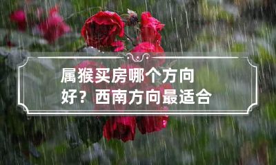属猴买房哪个方向好？西南方向最适合