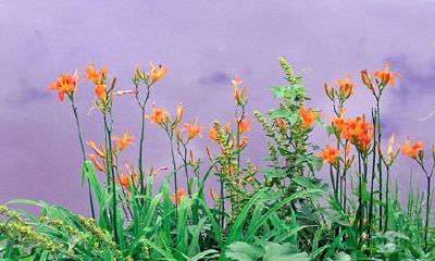 如何判断金牛男是否真心爱你