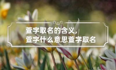 萱字取名的含义,萱字什么意思 萱字取名的寓意是什么意思是什么