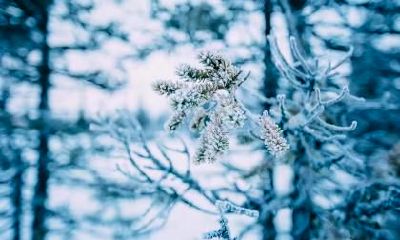 霜降后还热吗？霜降后不能吃什么水果