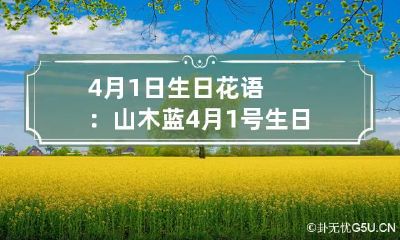 4月1日生日花语：山木蓝 4月1号生日的人怎么样