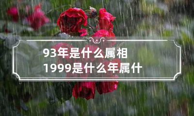 93年是什么属相 1999是什么年属什么年什么命