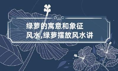 绿萝的寓意和象征风水,绿萝摆放风水讲究有哪些