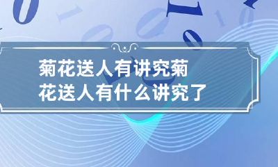 菊花送人有讲究 菊花送人有什么讲究了