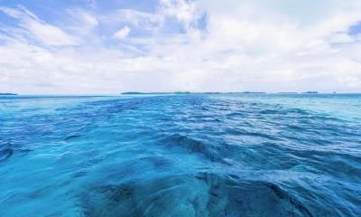 2019年三八妇女节去哪里旅游合适？出门旅游需要注意的有哪些？