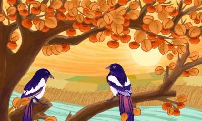 2020年秋分气温多少？秋分天气变冷了吗？秋分三侯是什么？