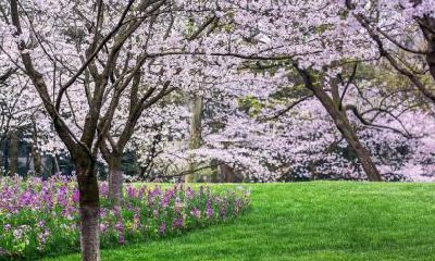 2019年腊月二十九五行缺水女孩起名大全