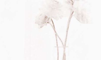 挖掘金牛座在工作中的长处