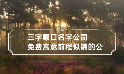 三字顺口名字公司免费 寓意前程似锦的公司名字
