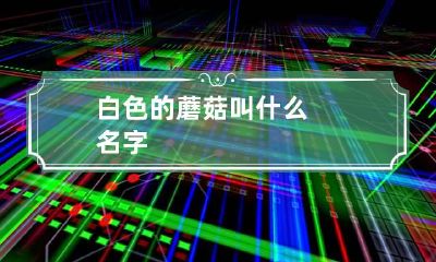 白色的蘑菇叫什么名字