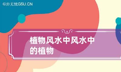 植物风水中 风水中的植物