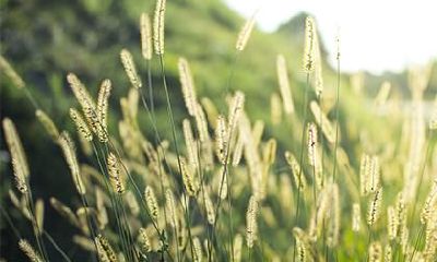 2019年农历十二月出生的男孩起名大全，五行缺土男孩起名