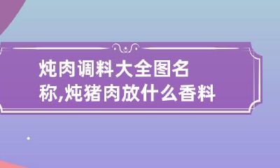 炖肉调料大全图名称,炖猪肉放什么香料最佳?
