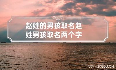赵姓的男孩取名 赵姓男孩取名两个字
