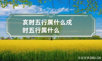 亥时五行属什么 戌时五行属什么
