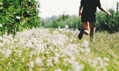 2019年，命带驿马，生活多奔波走动的生肖