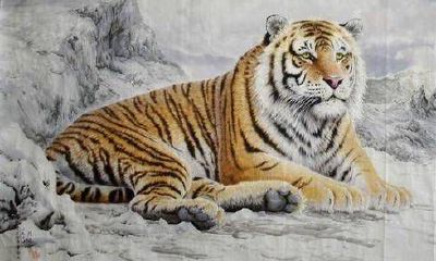 看相大叔12生肖2019年综合运势分析——生肖虎