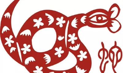 古易方2019年12生肖运程详解——生肖蛇男