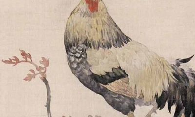 看相大叔12生肖2019年综合运势分析——生肖鸡