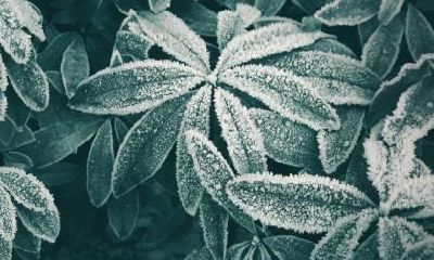 秋分是什么节气？秋分有什么意思？