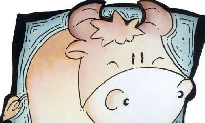 金牛座男生变心的表现