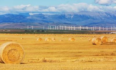 2020年秋分回娘家好吗？秋分这天的卦象如何？