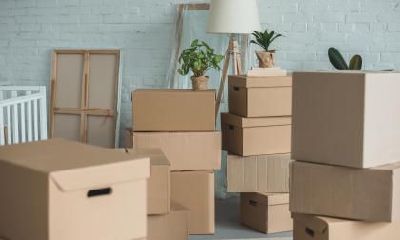 2019年二月二龙抬头可以搬家吗，搬家入宅好不好？