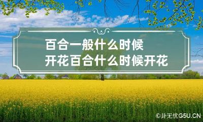 百合一般什么时候开花 百合什么时候开花(一天的时间内