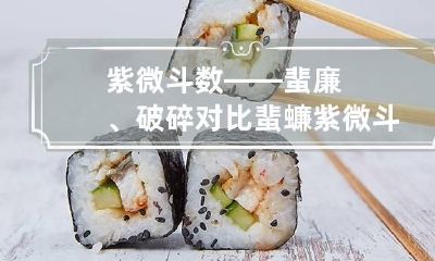 紫微斗数——蜚廉、破碎对比 蜚蠊 紫微斗数
