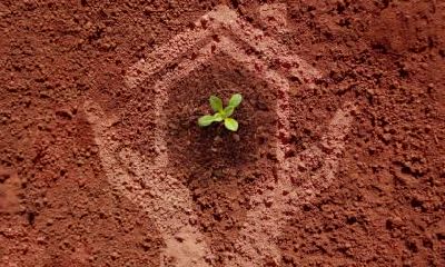 寒衣节能不能回娘家？回娘家有哪些禁忌？