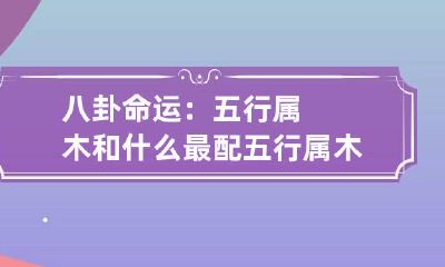 八卦命运：五行属木和什么最配 五行属木和什么行相配