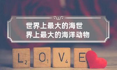 世界上最大的海 世界上最大的海洋动物