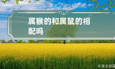 属猴的和属鼠的相配吗