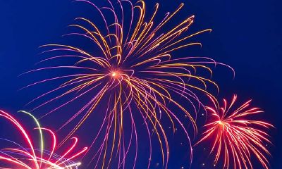 2019下半年，运势转旺的生肖