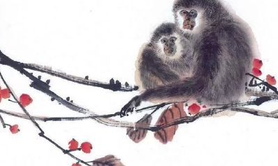 生肖猴2020年运势大全