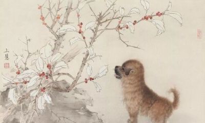 生肖狗2020年运势大全