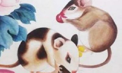 生肖鼠2020年运势大全