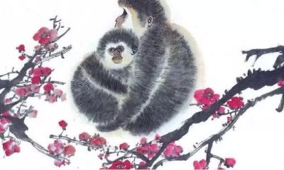 2019下半年，可为家人带来好运的生肖