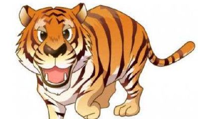 生肖虎2020年运势大全