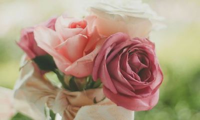 准！揭秘2019下半年12生肖运程