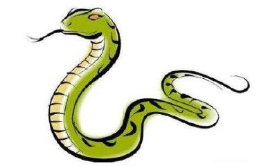 生肖蛇2020年运势大全