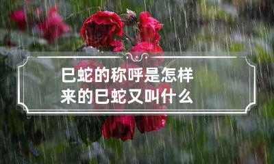 巳蛇的称呼是怎样来的 巳蛇又叫什么