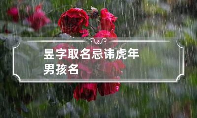 昱字取名忌讳 虎年男孩名