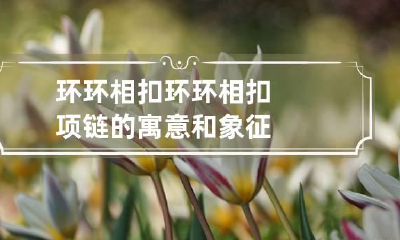 环环相扣 环环相扣项链的寓意和象征