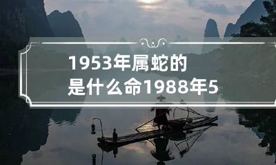 1953年属蛇的是什么命 1988年5月属龙的是什么命