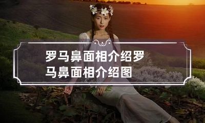 罗马鼻面相介绍 罗马鼻面相介绍图