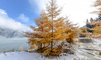 2020年11月22日小雪日子冲什么？小雪气温一般为多少度？