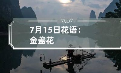 7月15日花语：金盏花