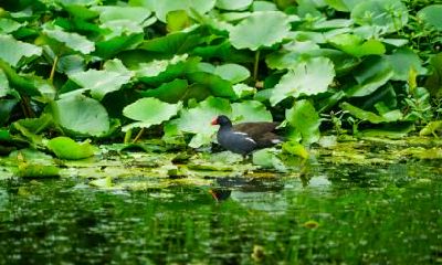 2020年农历十月初八去领证可以吗？结婚要避开节气吗？